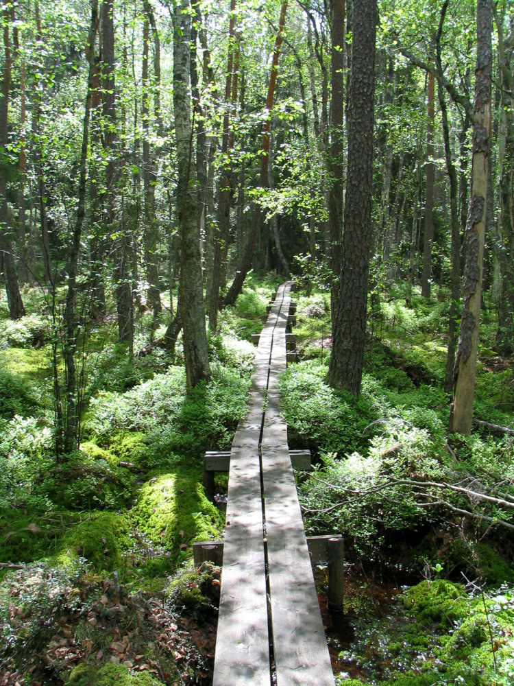 Färnebofjärden National Park