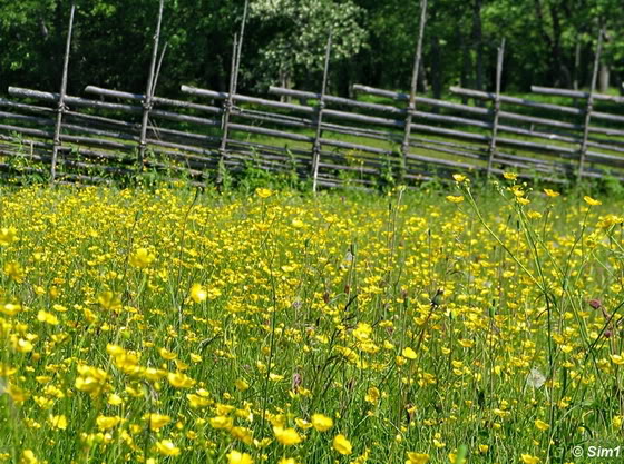 Ängsö National Park