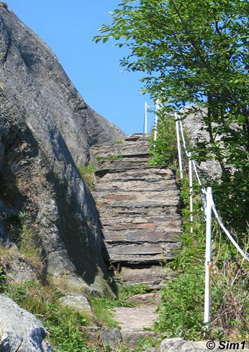 The stairs