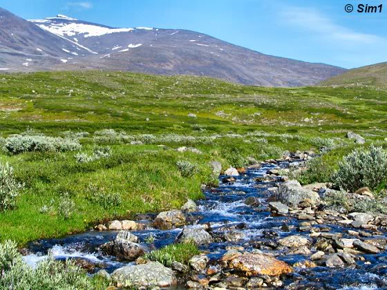 A wonderful walk around Alesjaure