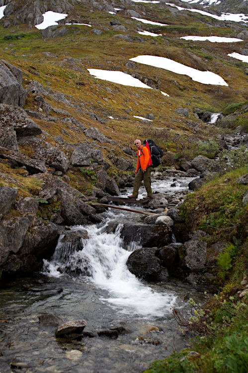 A more primitive bridge over a creek