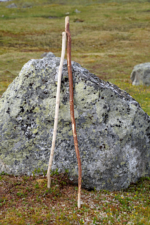 Hiking poles