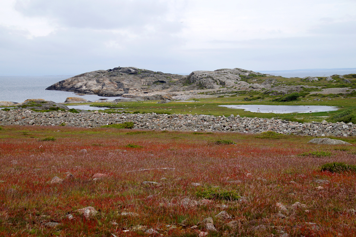 Hälleviksstrand