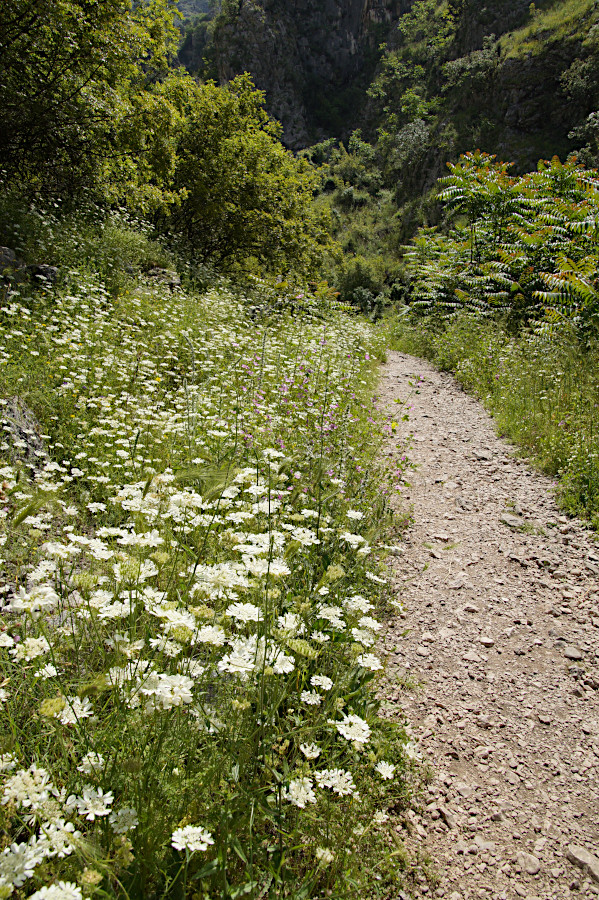 The hiking trail, Kotor