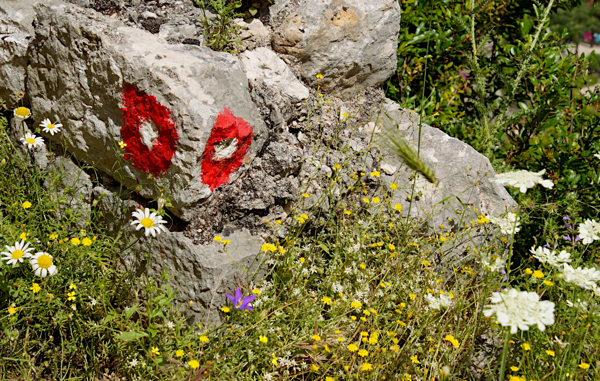Kotor, The trail was well marked with brightly painted red and white dots
