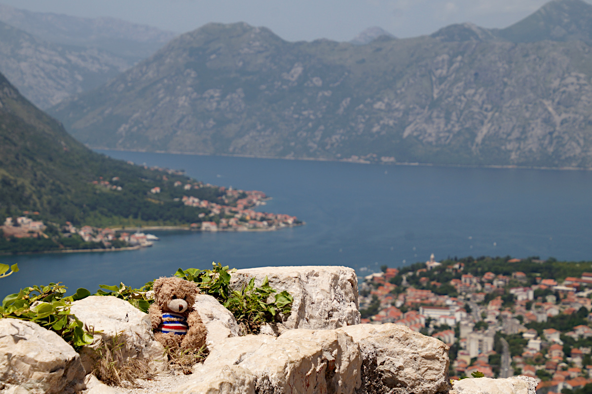 My mascotte Nalle, Bay of Kotor