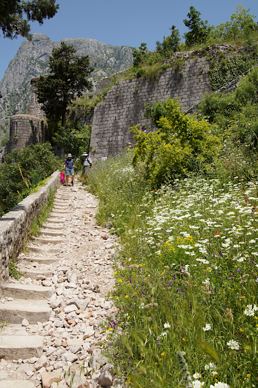 Walking down the 1350 steps