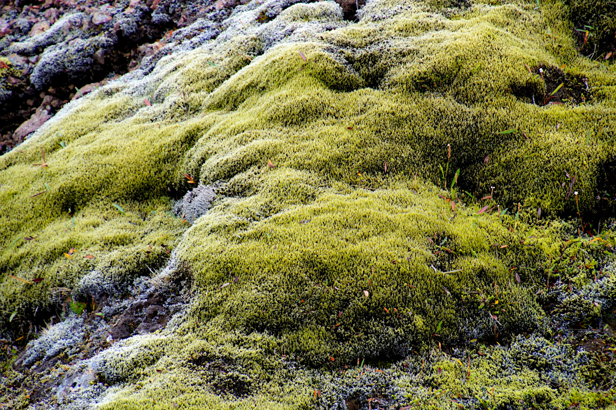 Landmannalaugar