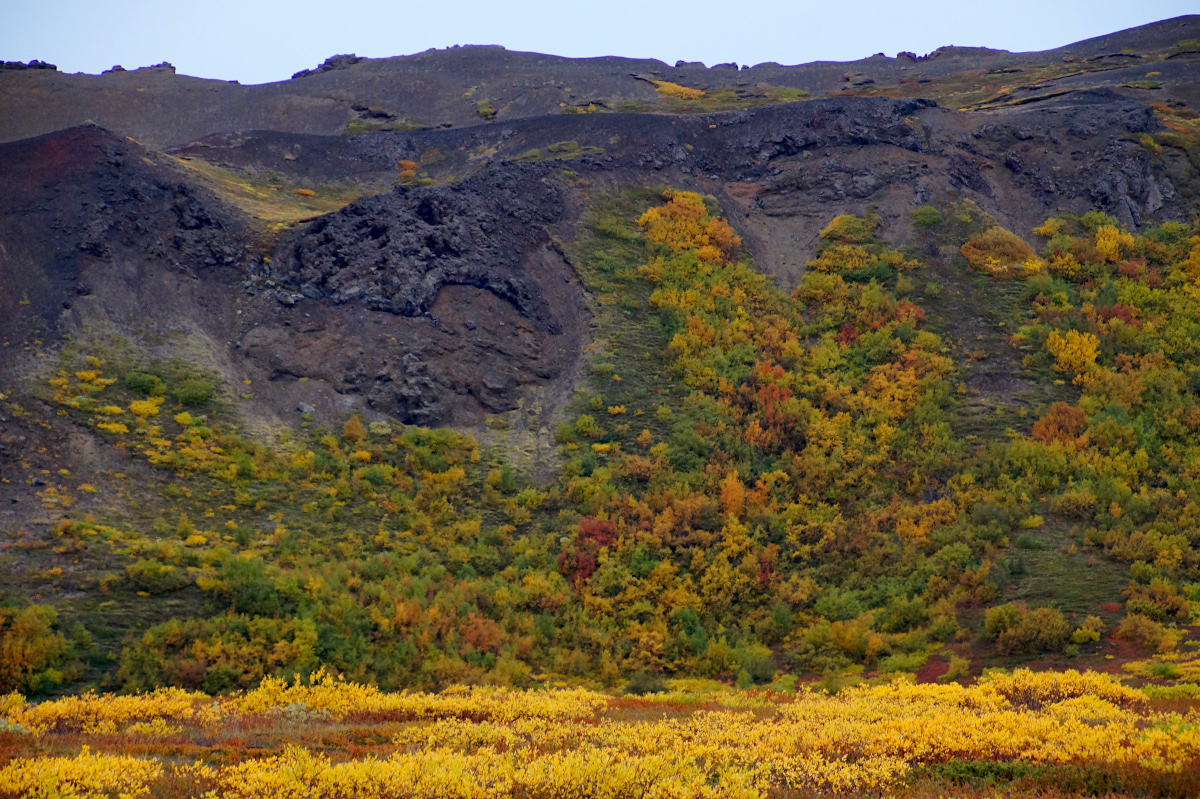 Autumn colours