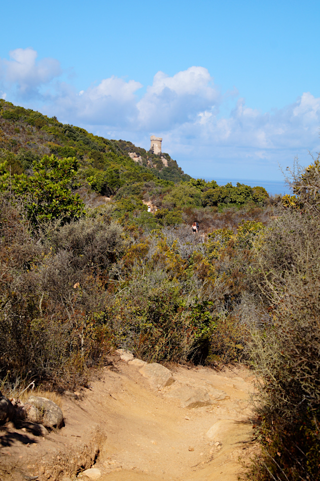 Capo di Muro