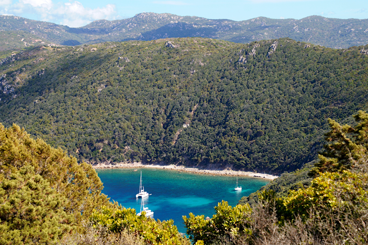 Capo di Muro