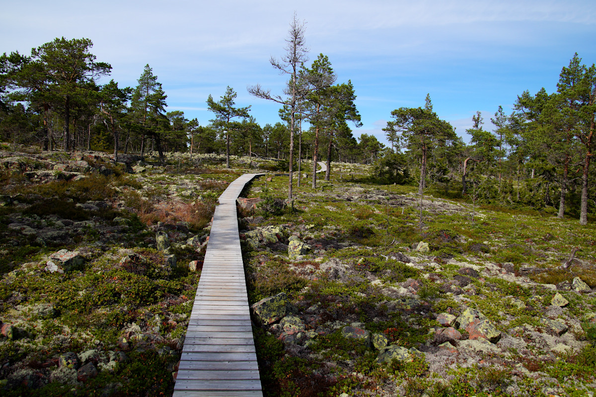 Norrfällsviken