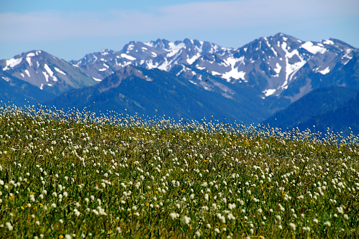 Olympic National Park