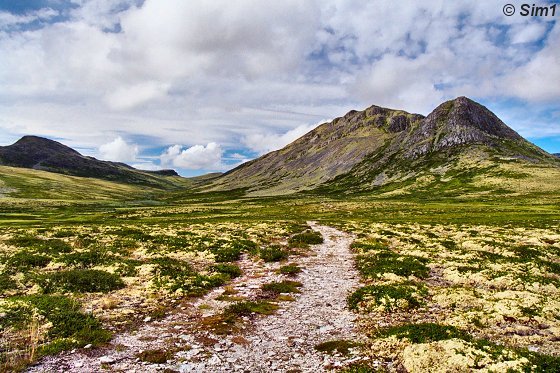  Rondane National Park