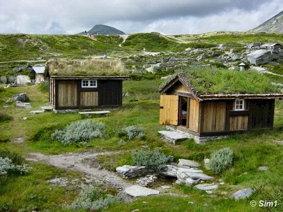 Grass covered roofs