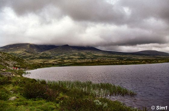 A thick layer of clouds