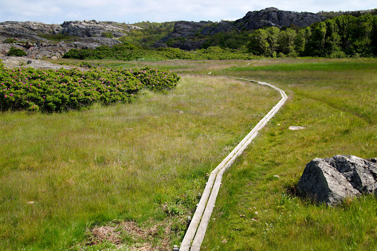 Skaftö