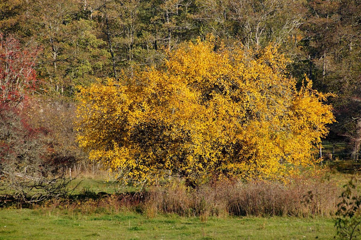 Around Sundbyholm