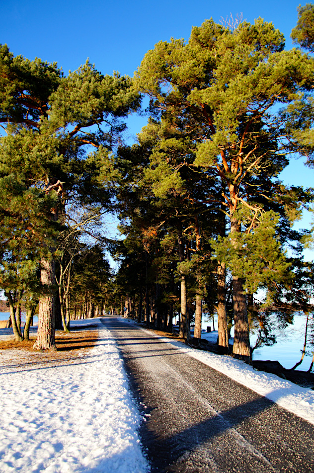 A walk to the peninsula