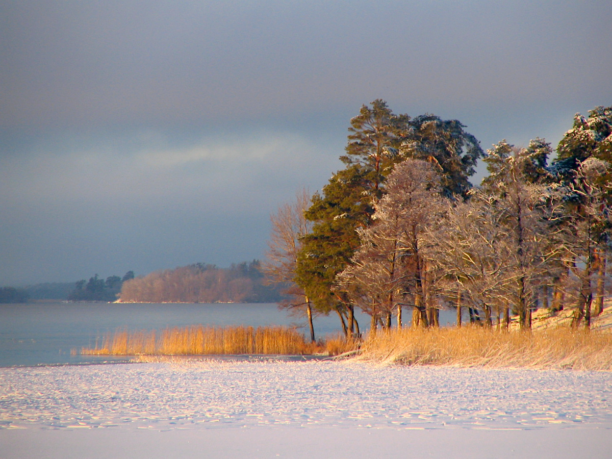 Frozen Lake Mälaren