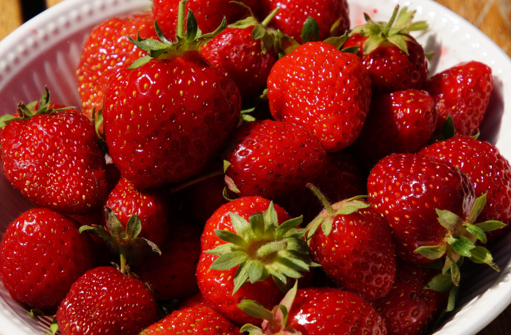 fresh picked strawberries from the garden