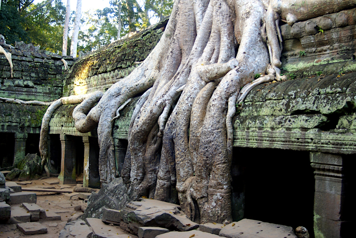 Ta Prohm