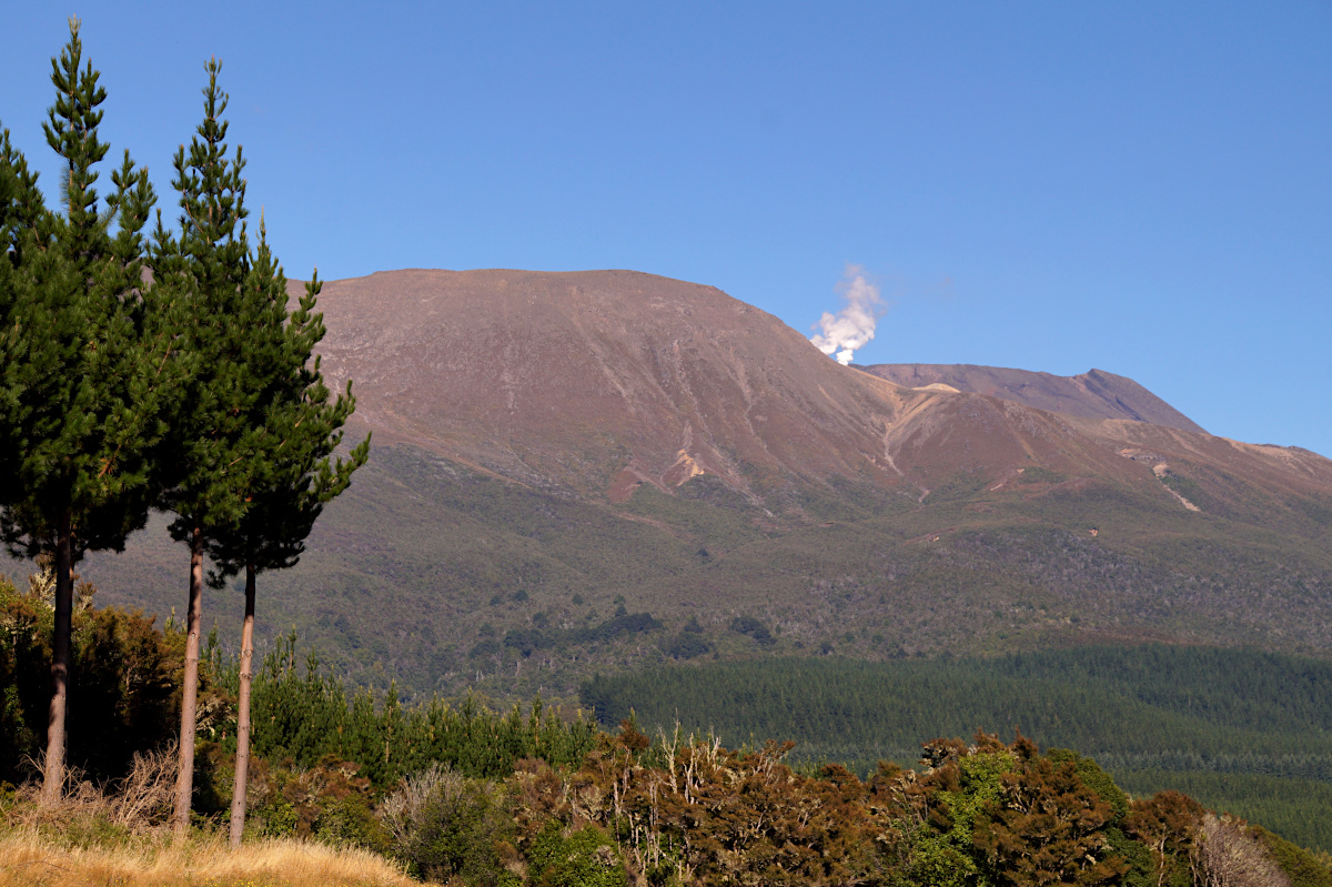 The road to Tongariro