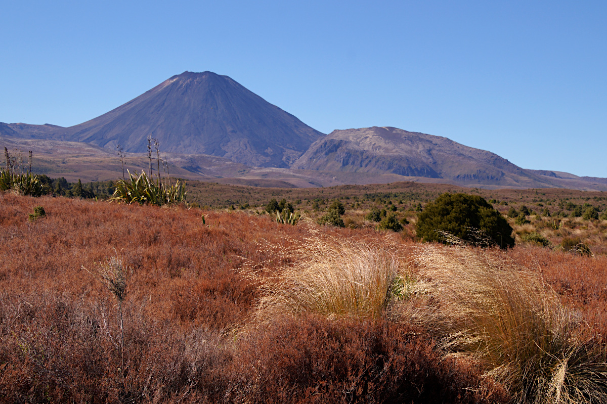 Ngauruhoe