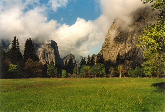 Yosemity National Park