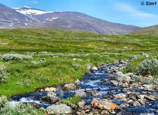 Abisko NP