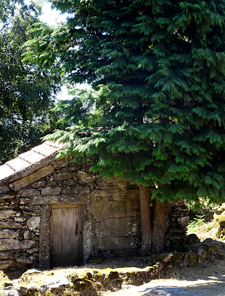 Branda de Santo António