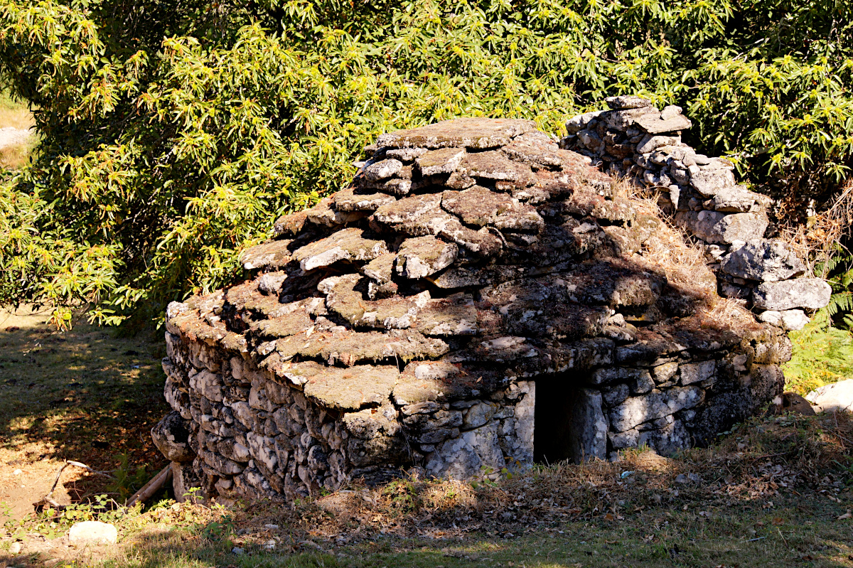 Branda de Santo António