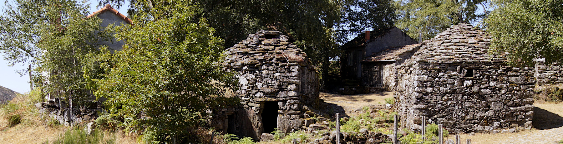 Branda d'Aveleira & Branda de Santo António