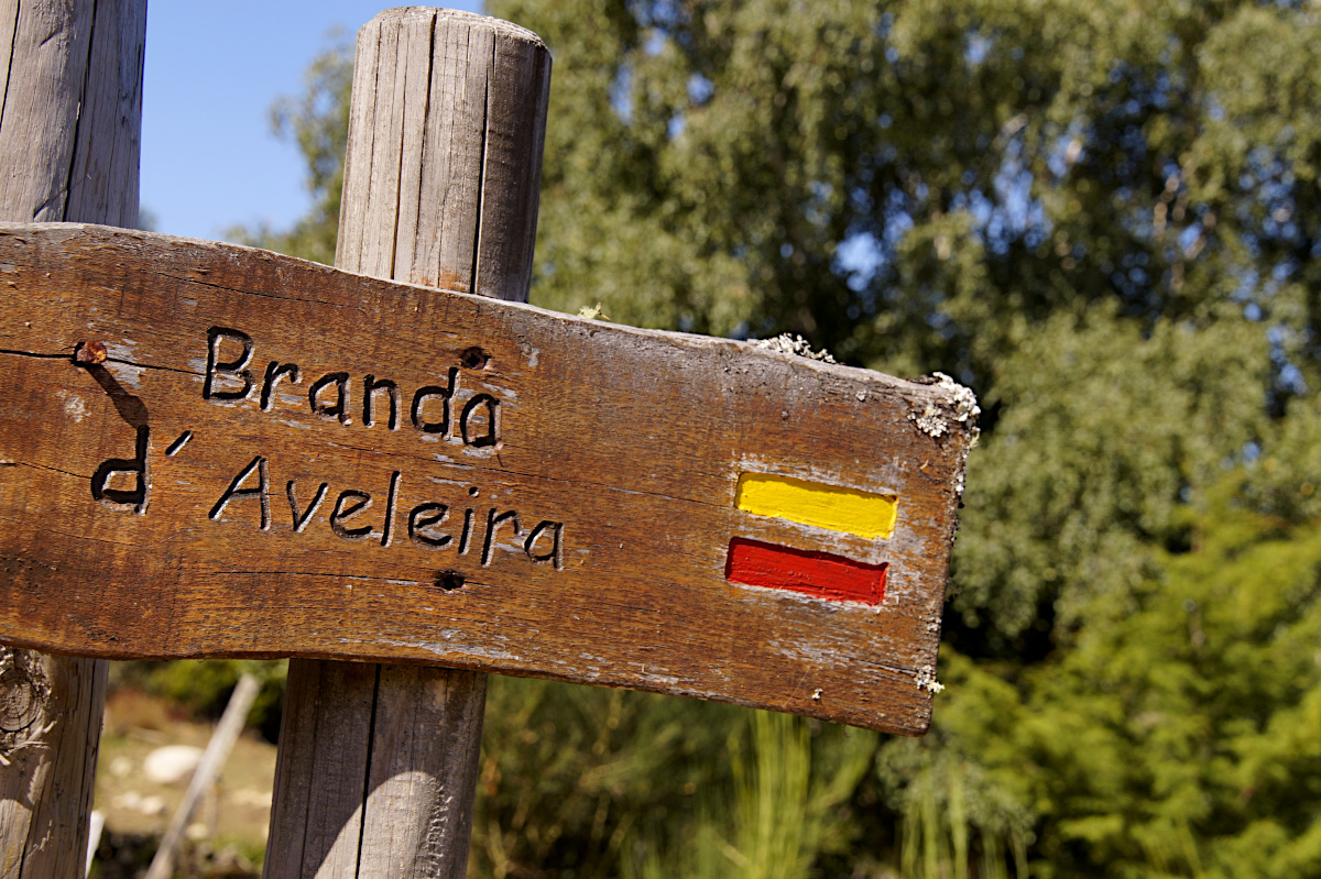 sign Branda d'Aveleira