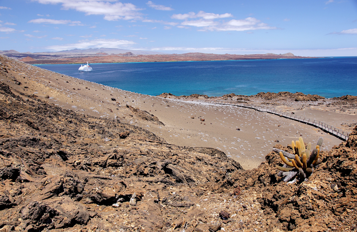 Bartolomé Island