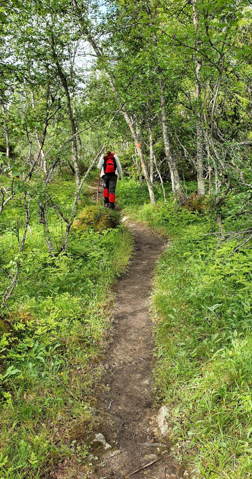 Hike Nipfjället