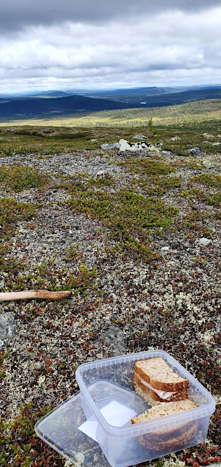 Lunchtime Nipfjället