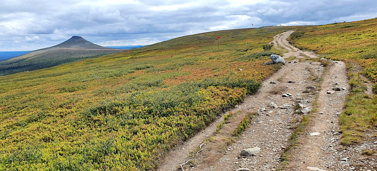 Hike Nipfjället