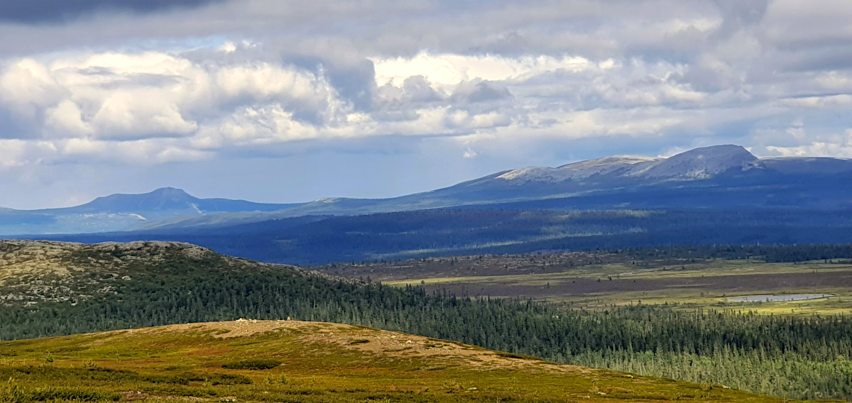 Hike Nipfjället