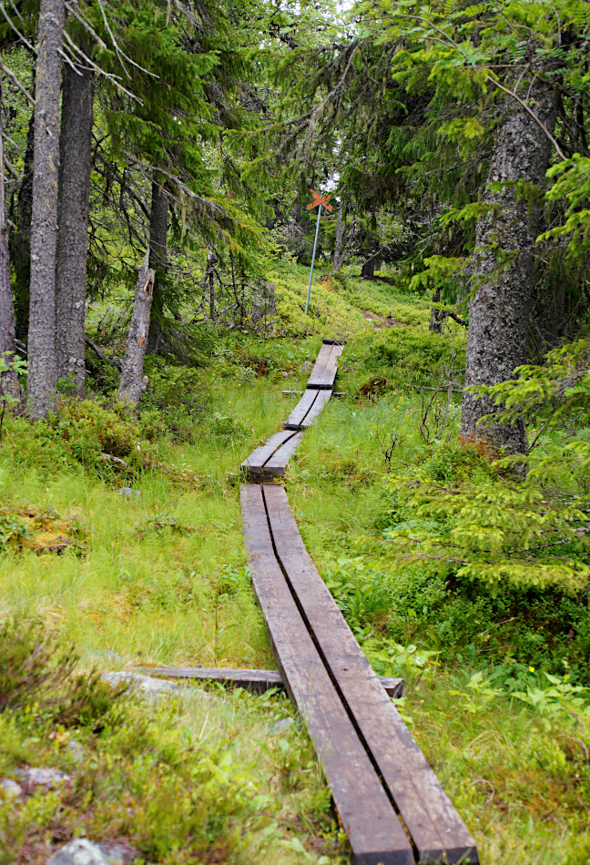 Hike Nipfjället