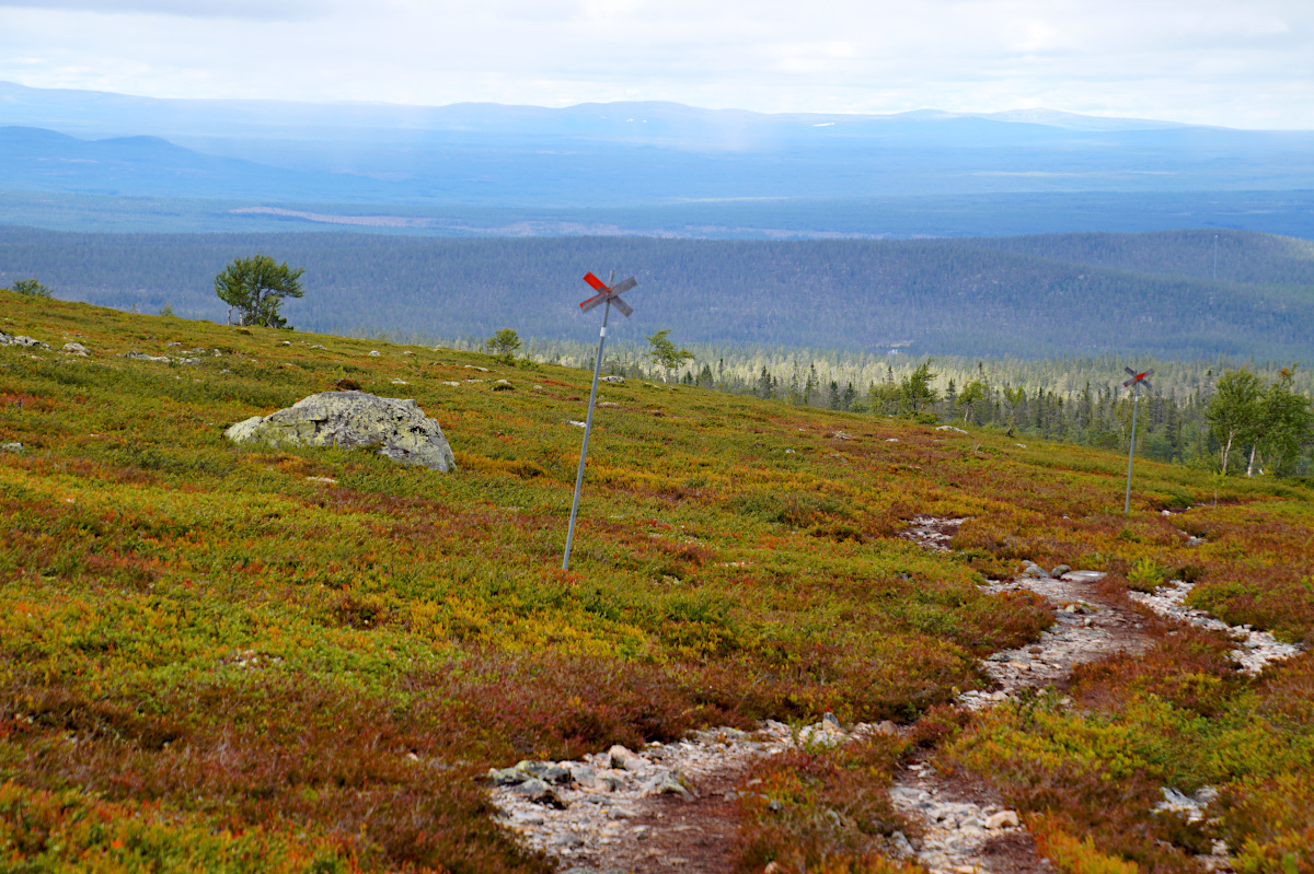 Hike Nipfjället