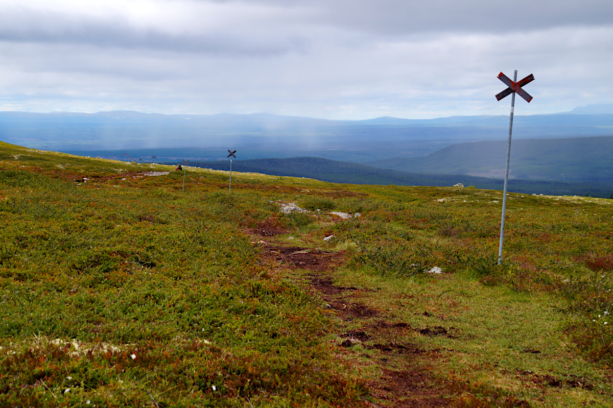 Hike Nipfjället