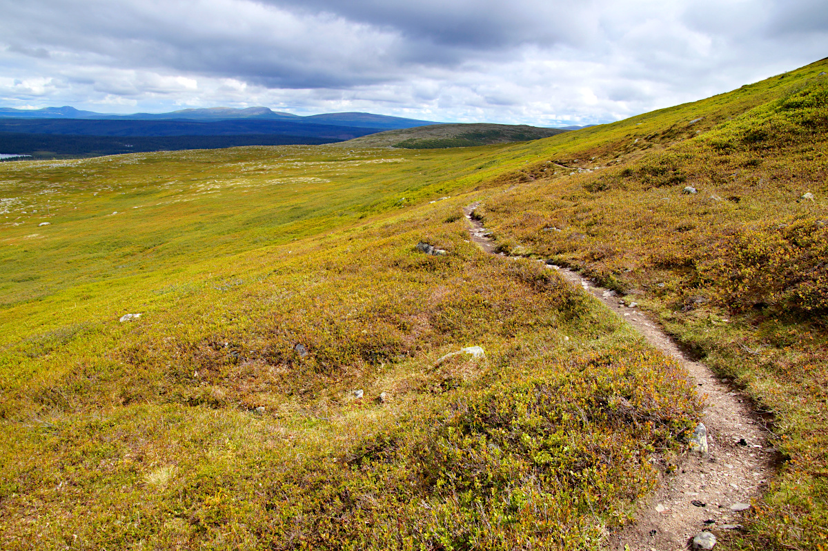 Hike Nipfjället