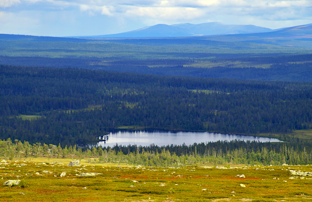 Nipfjället