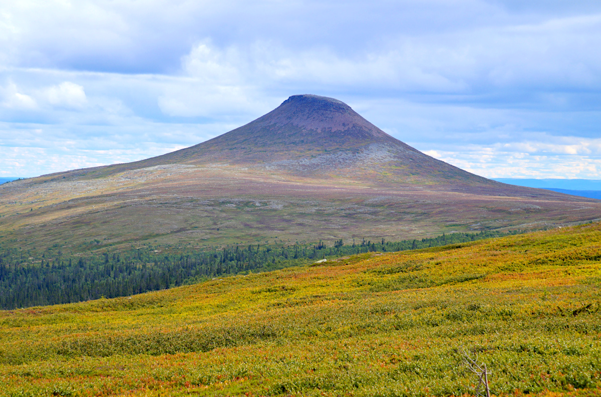 Hike Nipfjället