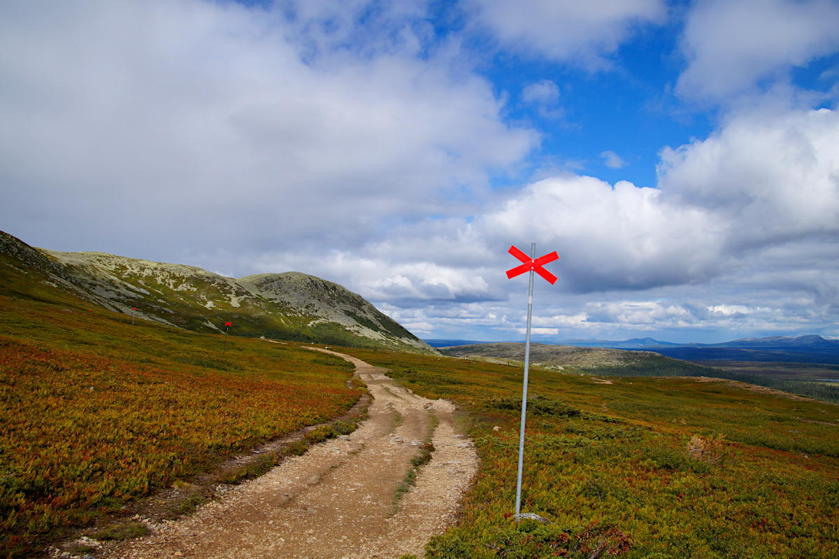 Hike Nipfjället