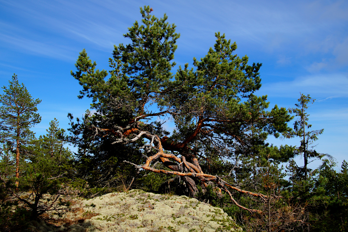 Omneberget