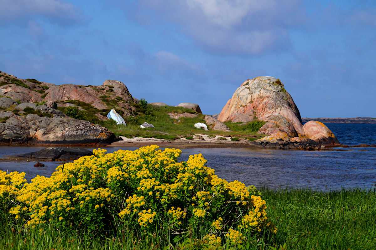 Skaftö