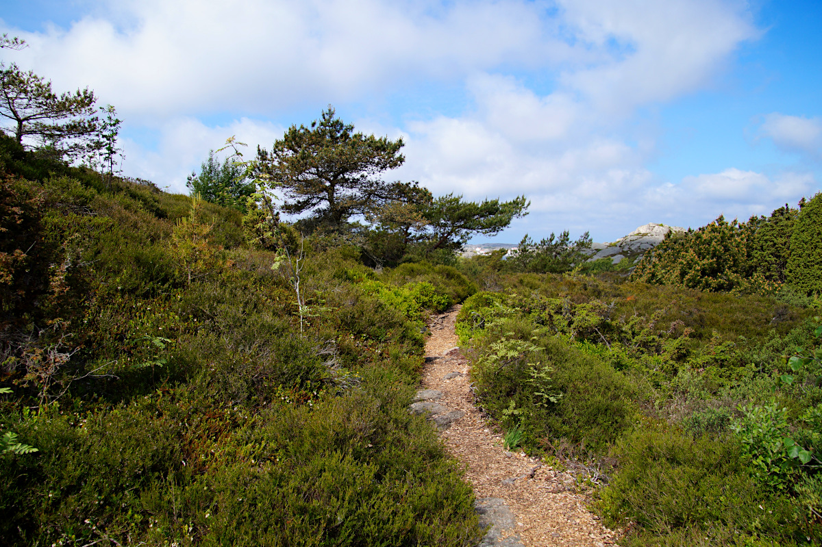 Skaftö