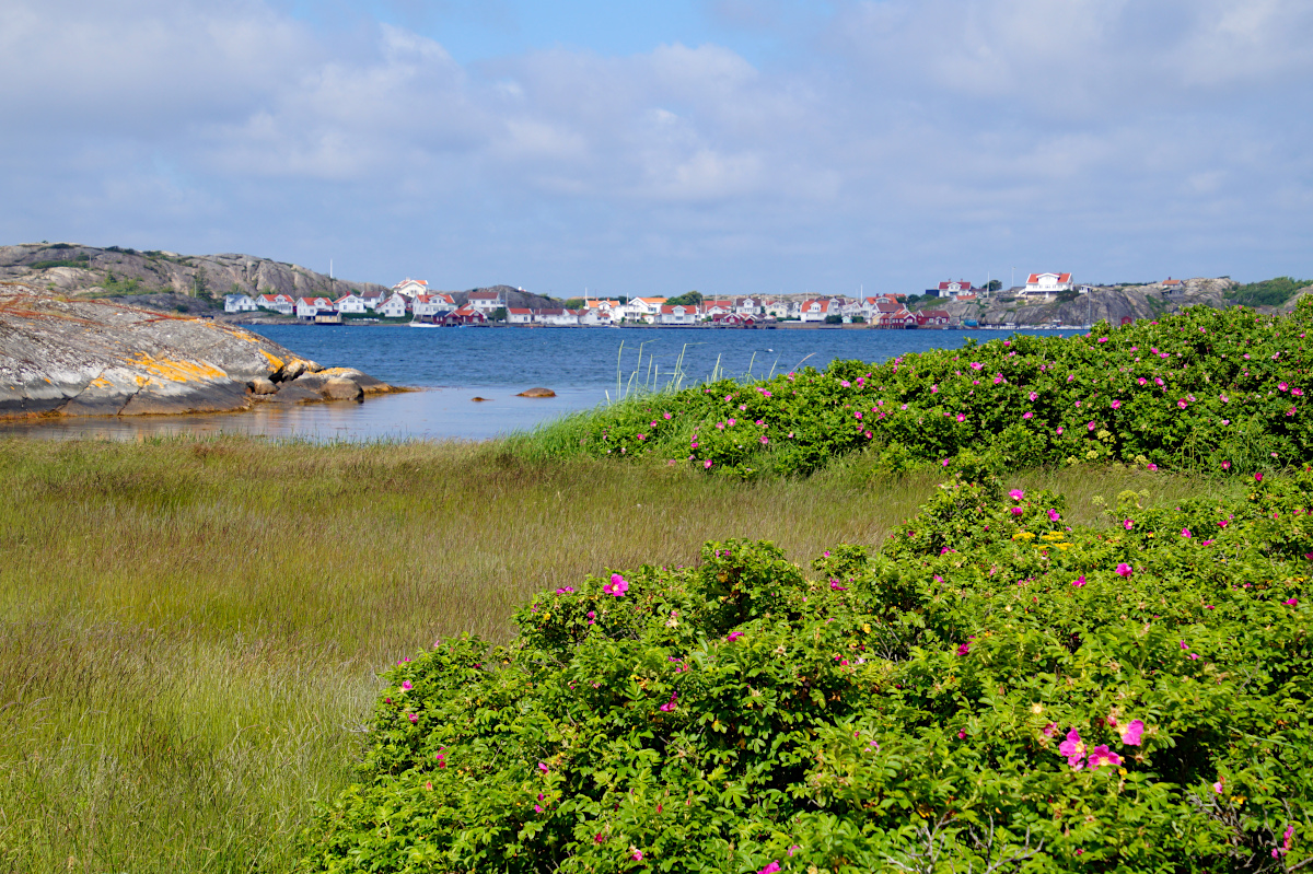 Skaftö